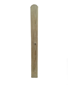 STECCA PER RECINTO DA GIARDINO "ELA" IN LEGNO DI PINO 1,6X9X100 CM